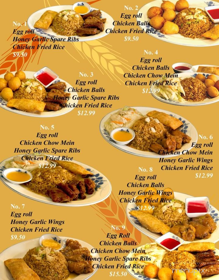 Tran's Place Restaurant - Moncton, NB menu_pic