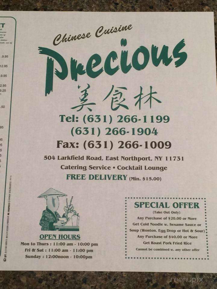 Precious Chinese Cuisine - East Northport, NY