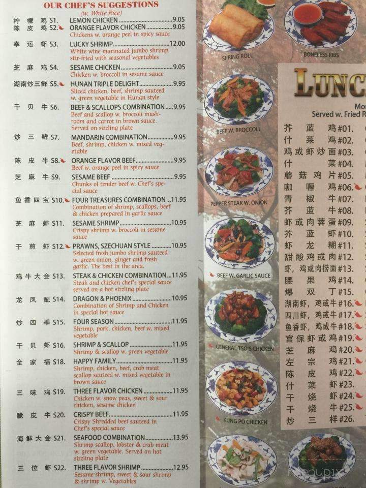 China Taste - Bedford, VA menu_pic