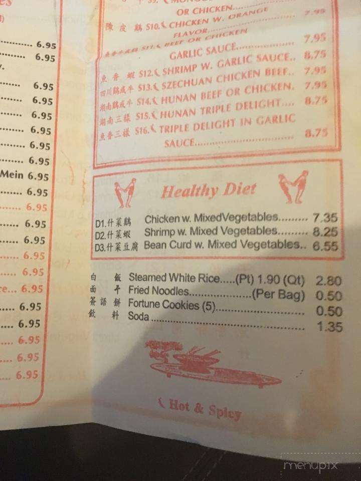 Hong Kong Restaurant - Cochran, GA menu_pic