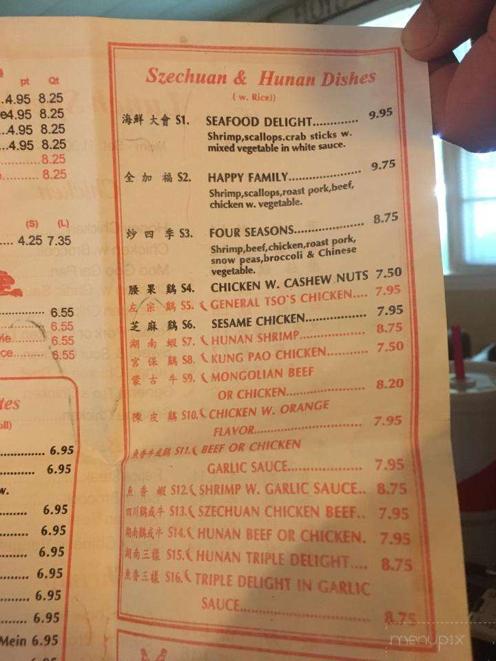 Hong Kong Restaurant - Cochran, GA menu_pic
