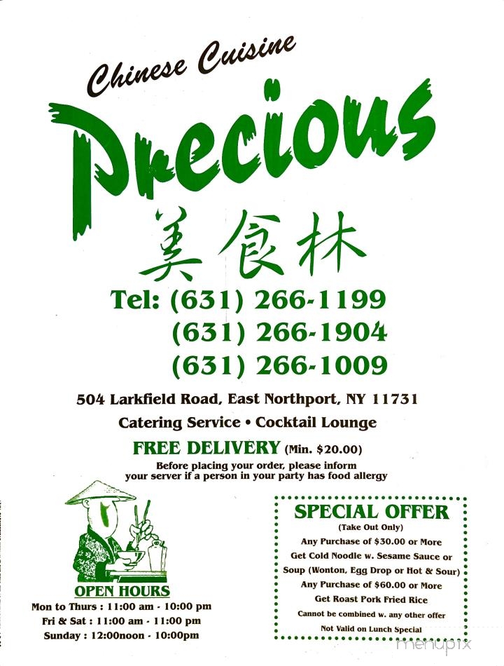 Precious Chinese Cuisine - East Northport, NY