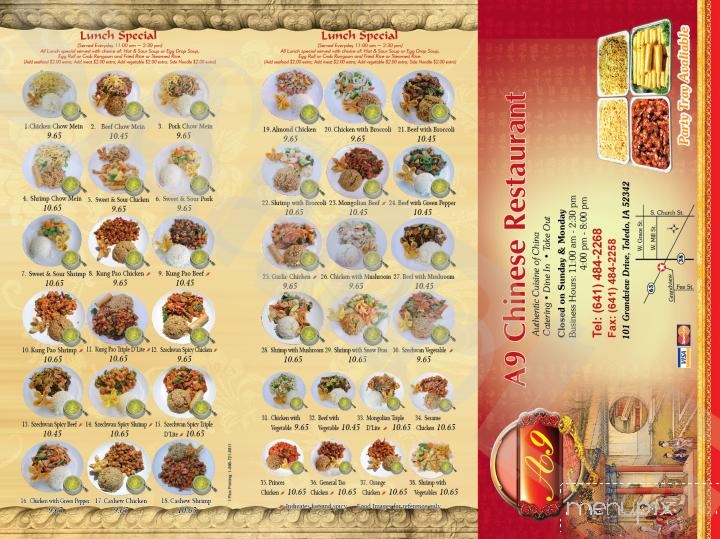 A9 Chinese Restaurant - Toledo, IA menu_pic