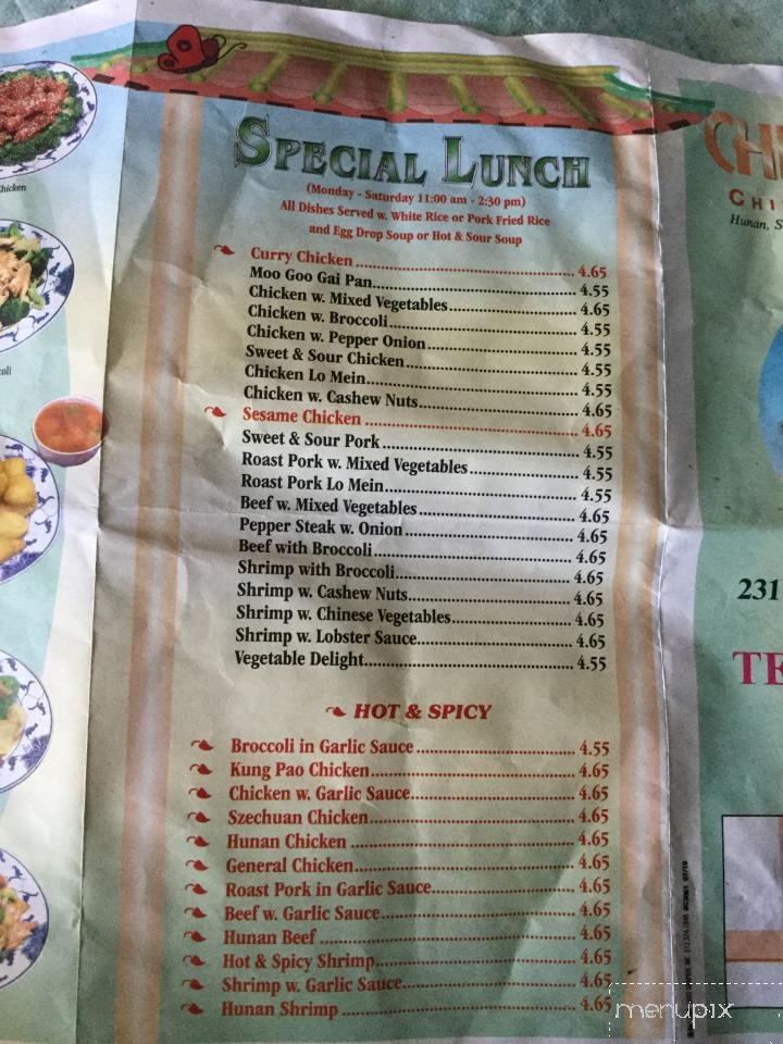 China Wok Restaurant - McMinnville, TN menu_pic