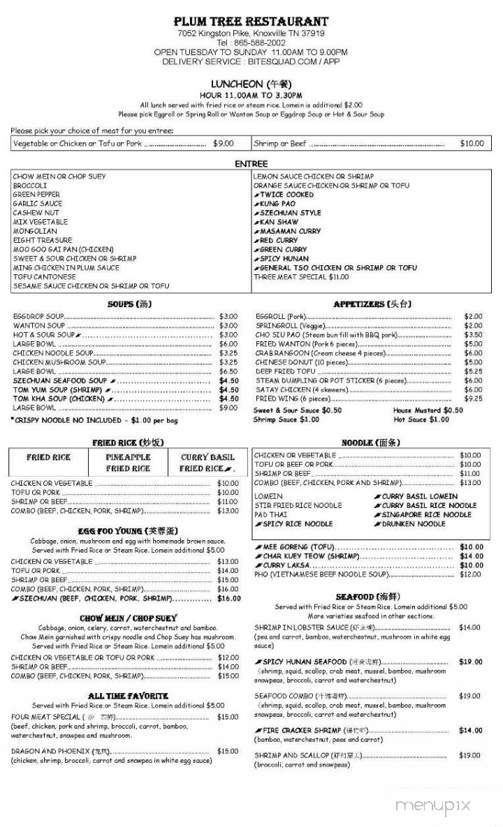 Plum Tree Chinese Restaurant - Knoxville, TN menu_pic