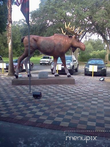 Moose Lodge - Zephyrhills, FL