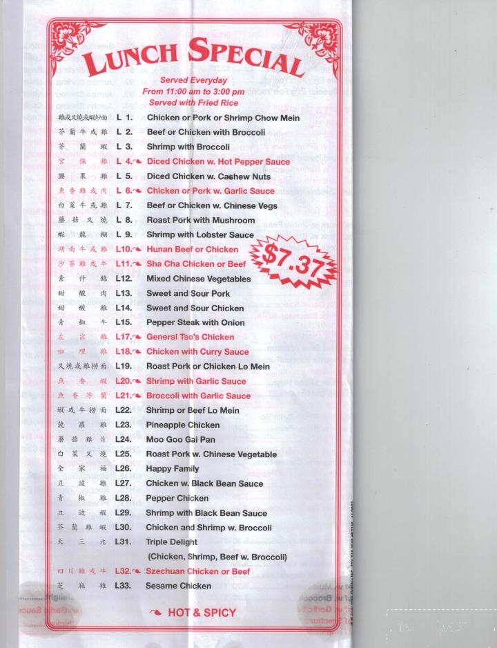 New King Wok - Wellsville, NY menu_pic