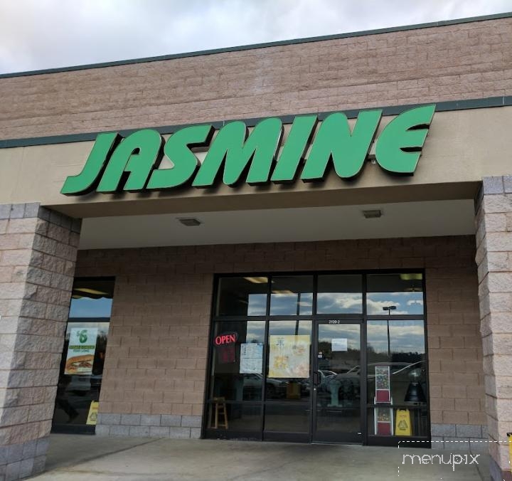Jasmine - Lenoir, NC