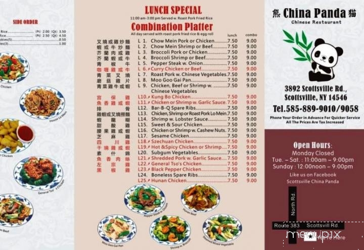China Panda - Scottsville, NY menu_pic