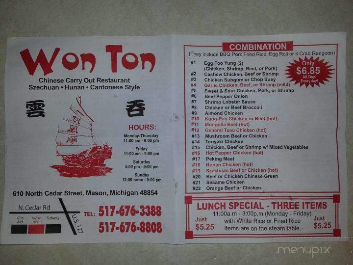 Won Ton Chinese Carry Out - Mason, MI