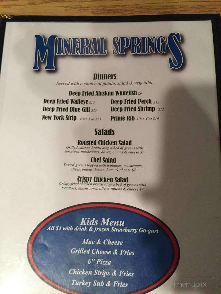 Mineral Springs Bar - Tustin, MI menu_pic