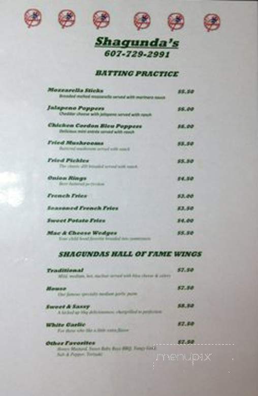 Shagunda's - Johnson City, NY menu_pic