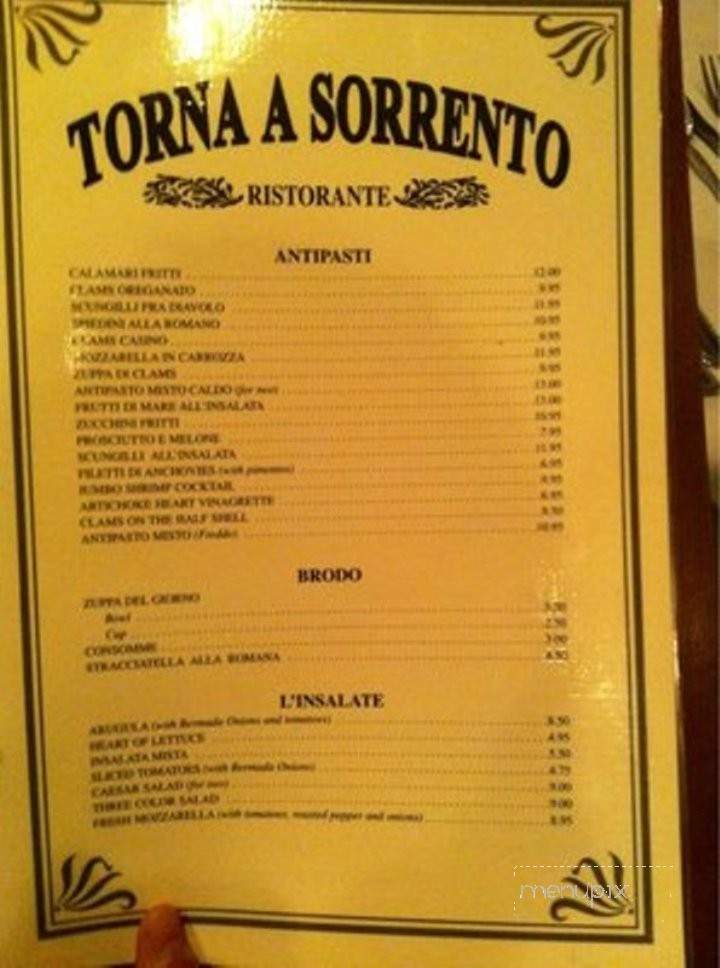 /3012702/Torna-A-Sorrento-Restaurant-Elizabeth-NJ - Elizabeth, NJ