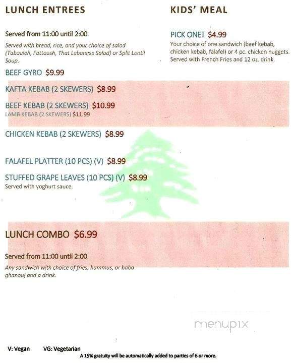 That Lebanese Place - Springfield, MO menu_pic