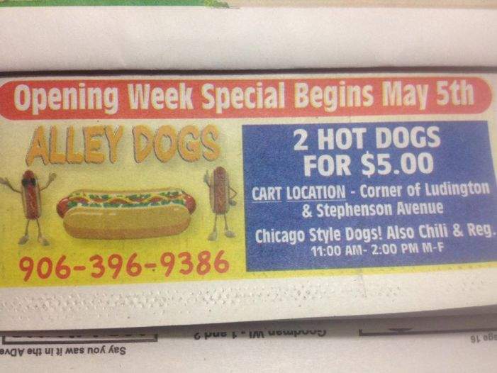 /380199720/Alley-Dogs-Iron-Mountain-MI - Iron Mountain, MI