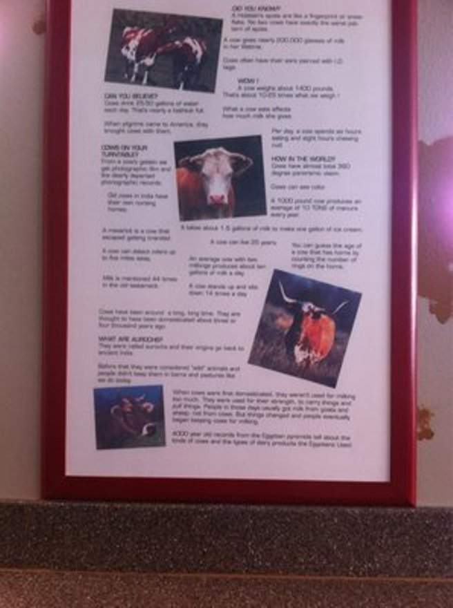 The Cow Calf-Hay - Oklahoma City, OK menu_pic