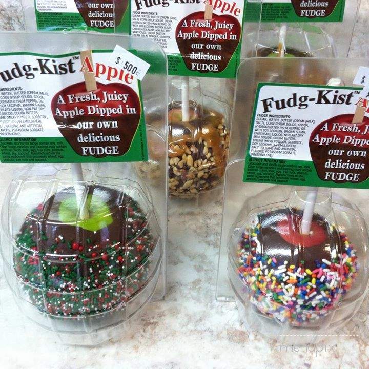 Shelly's Sweet Shop - Munising, MI menu_pic