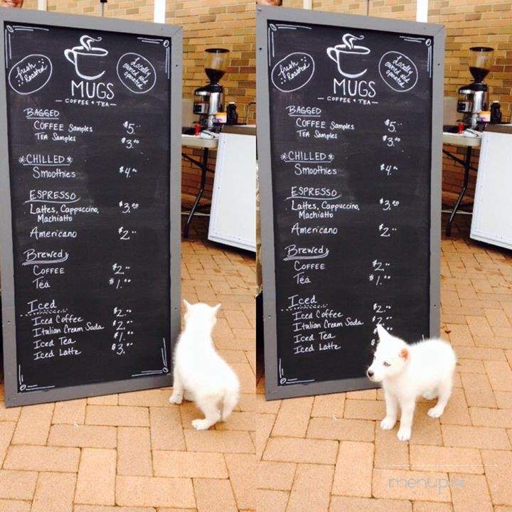 Mugs Coffee and Tea Company-2 - Irving, TX menu_pic