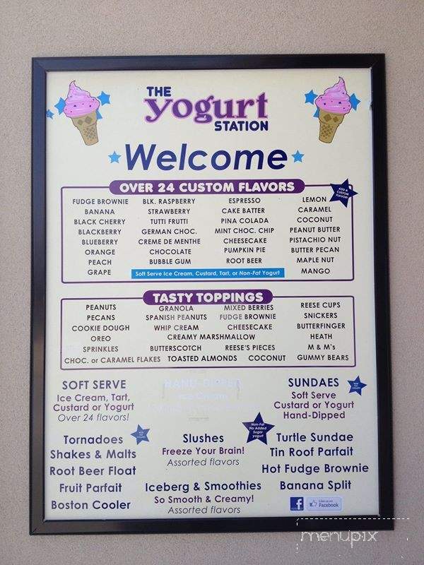 Yogurt Station - Pleasant Ridge, MI menu_pic