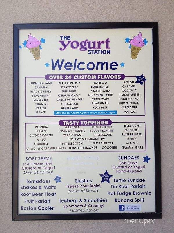 /380343359/Yogurt-Station-Pleasant-Ridge-MI - Pleasant Ridge, MI