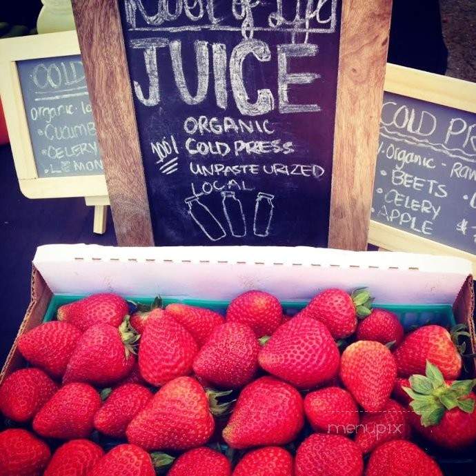 Root of Life Organic Juices - Lakewood, CA menu_pic