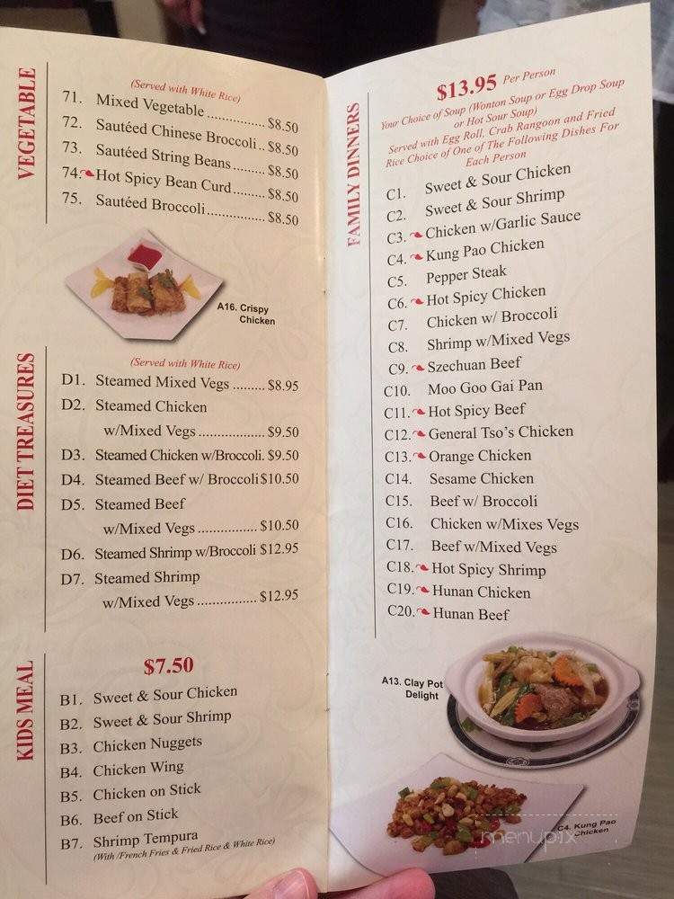 /250142921/Hot-Wok-Menu-Cypress-TX - Cypress, TX