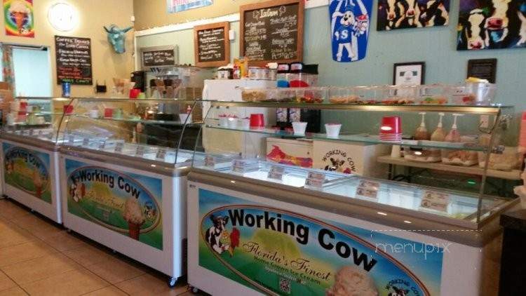 /250550789/Holy-Cow-Ice-Cream-Shop-Holmes-Beach-FL - Holmes Beach, FL