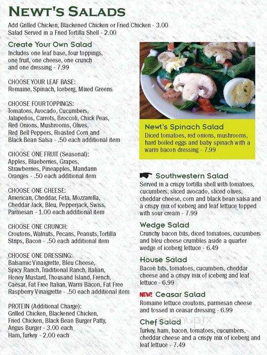 Newt's Burgers - Shelby, NC menu_pic