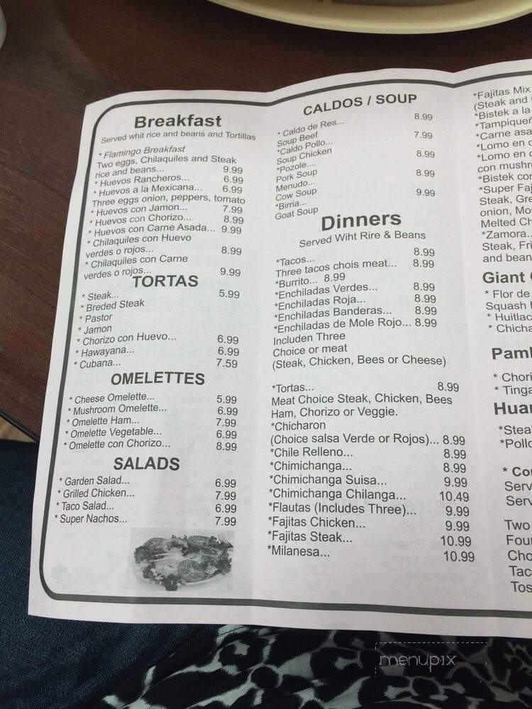Flamingo Restaurant and Ice Cream - DeKalb, IL menu_pic