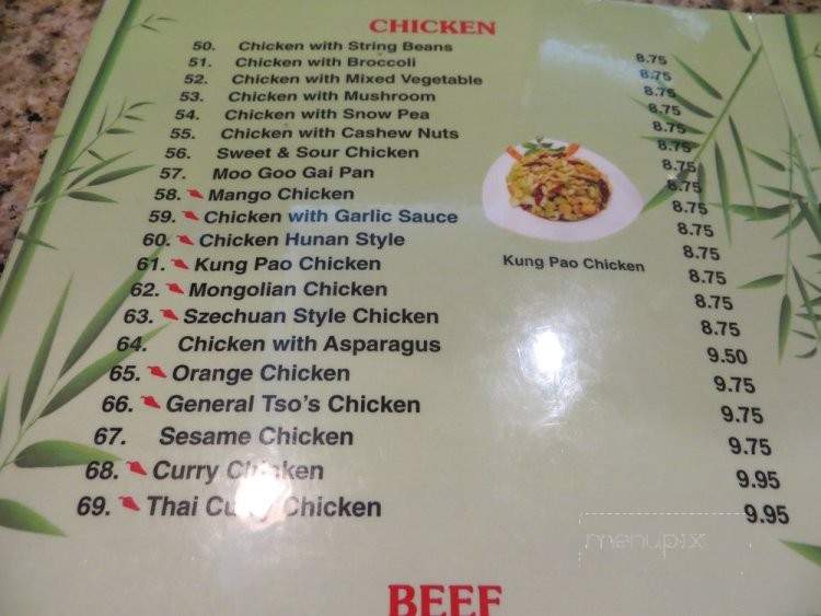 Bamboo China Cafe - Houston, TX menu_pic
