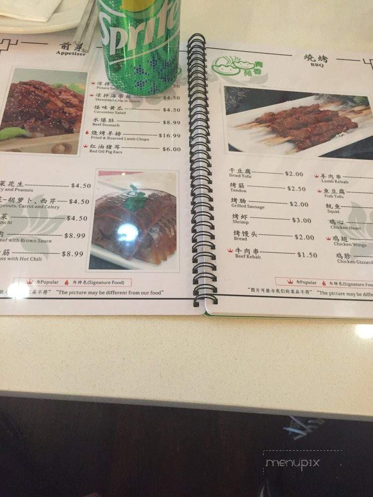 Qing Xiang Yuan Dumplings - Chicago, IL menu_pic