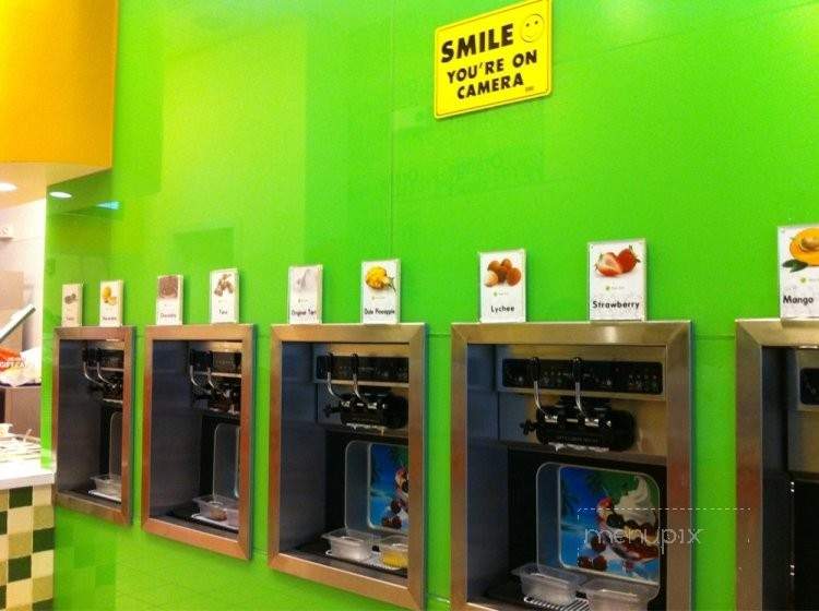 /250896885/Orange-Tree-Frozen-Yogurt-Newark-CA - Newark, CA