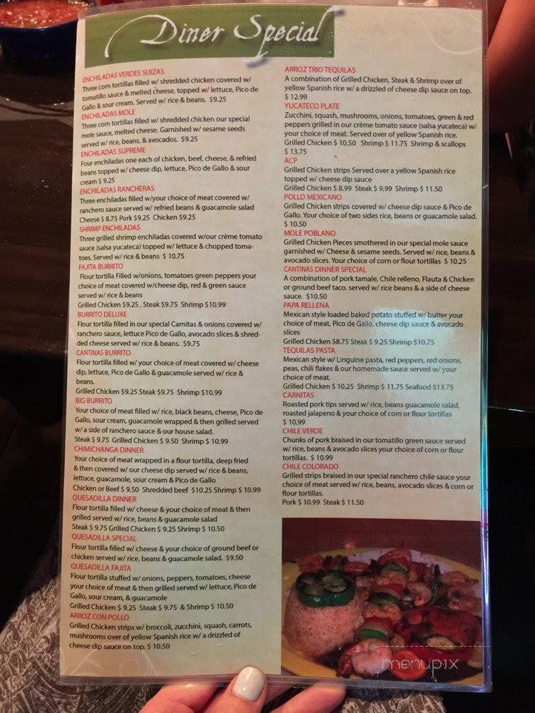 Cantina Mexican Grill & Bar - Tampa, FL menu_pic