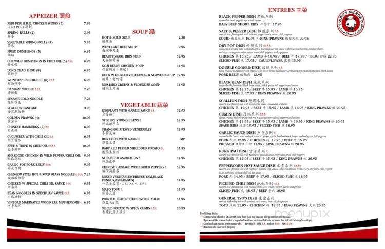 Spicy Memory - Philadelphia, PA menu_pic