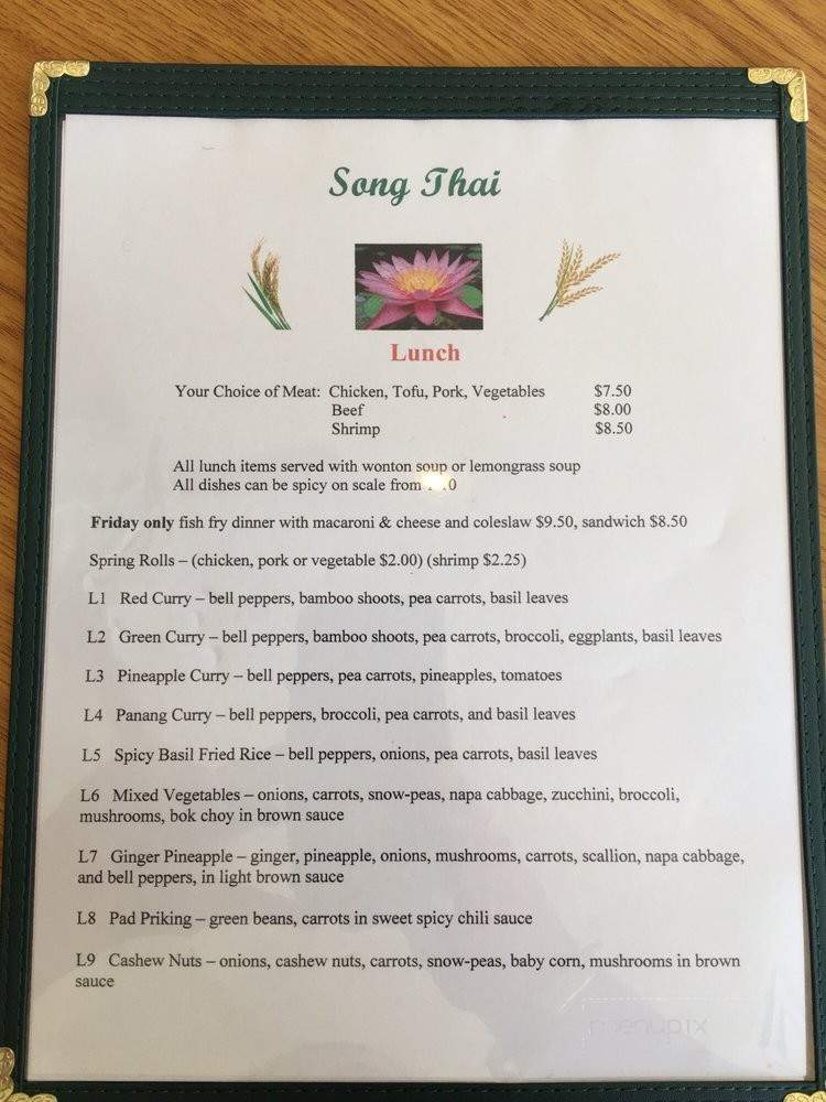 Song Thai - Beaver Falls, PA menu_pic
