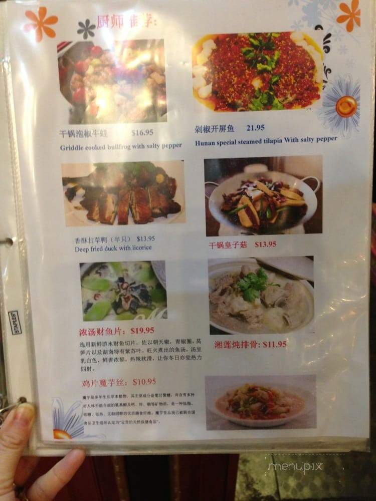 Hunan Restaurant and Bar - Markham, ON menu_pic
