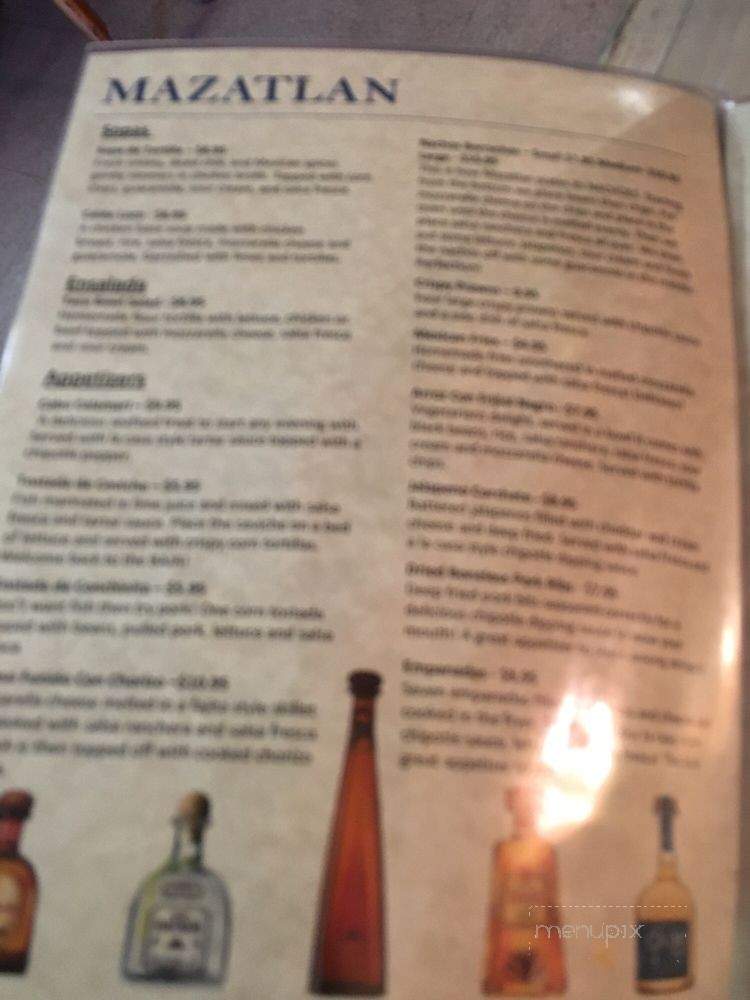 Mazatlan Mexican Restaurant - Aldergrove, BC menu_pic