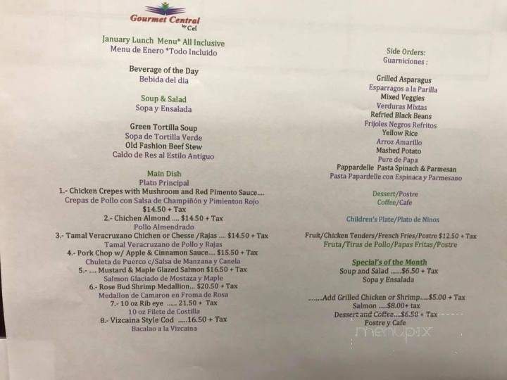 Gourmet Central By Cel - Brownsville, TX menu_pic
