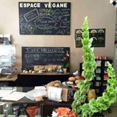 /31515943/Espace-Vegane-Montreal-QC - Montreal, QC