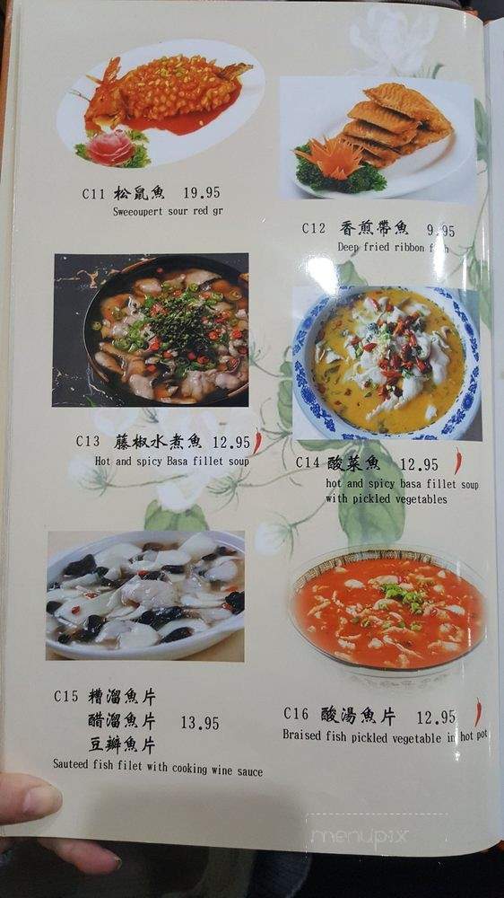 Jasmine Flower Shanghai - Vancouver, BC menu_pic