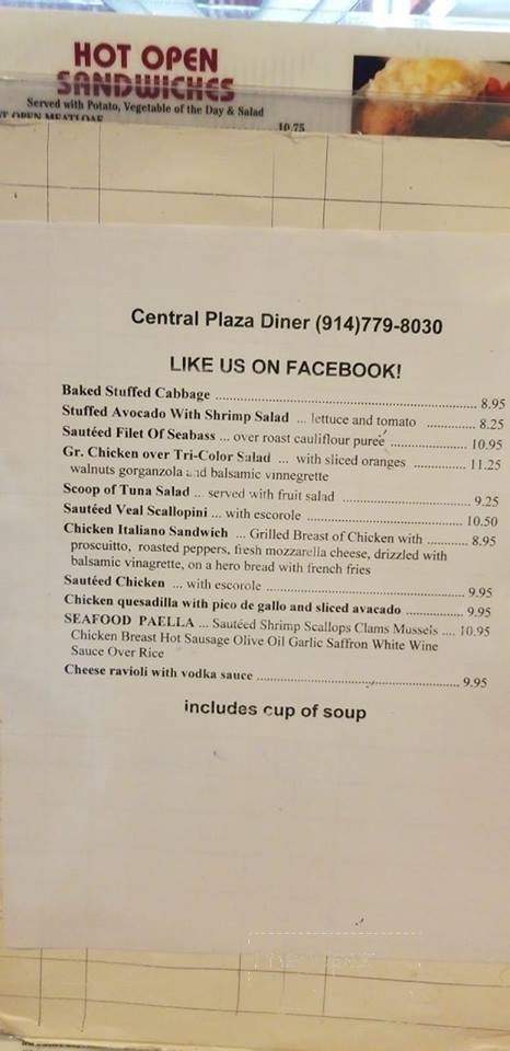 Central Plaza Diner - Yonkers, NY menu_pic
