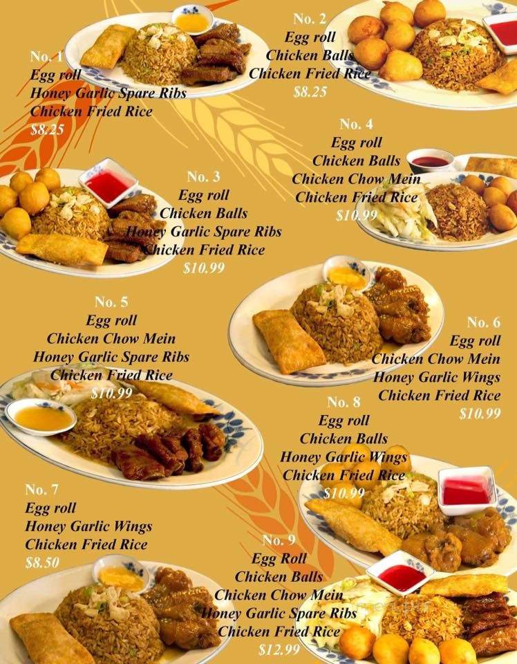 Tran's Place Restaurant - Moncton, NB menu_pic