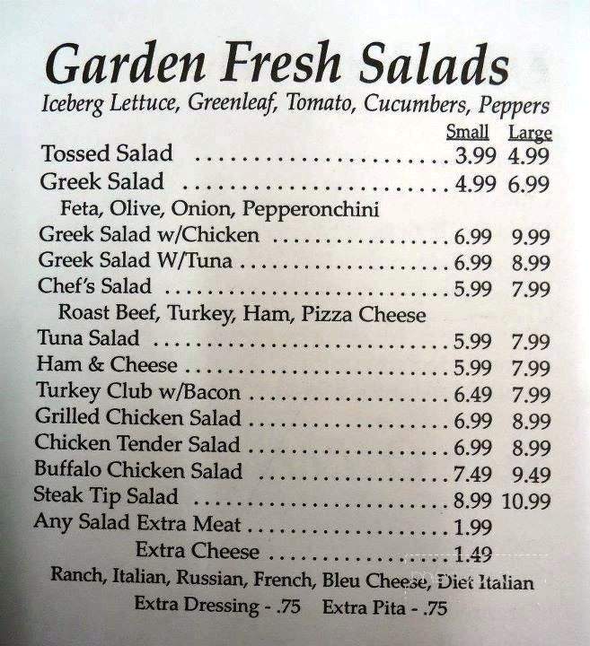 Village Pizza Of Bristol - Bristol, NH menu_pic