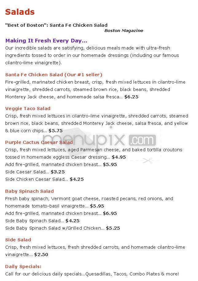 The Purple Cactus - Jamaica Plain, MA menu_pic
