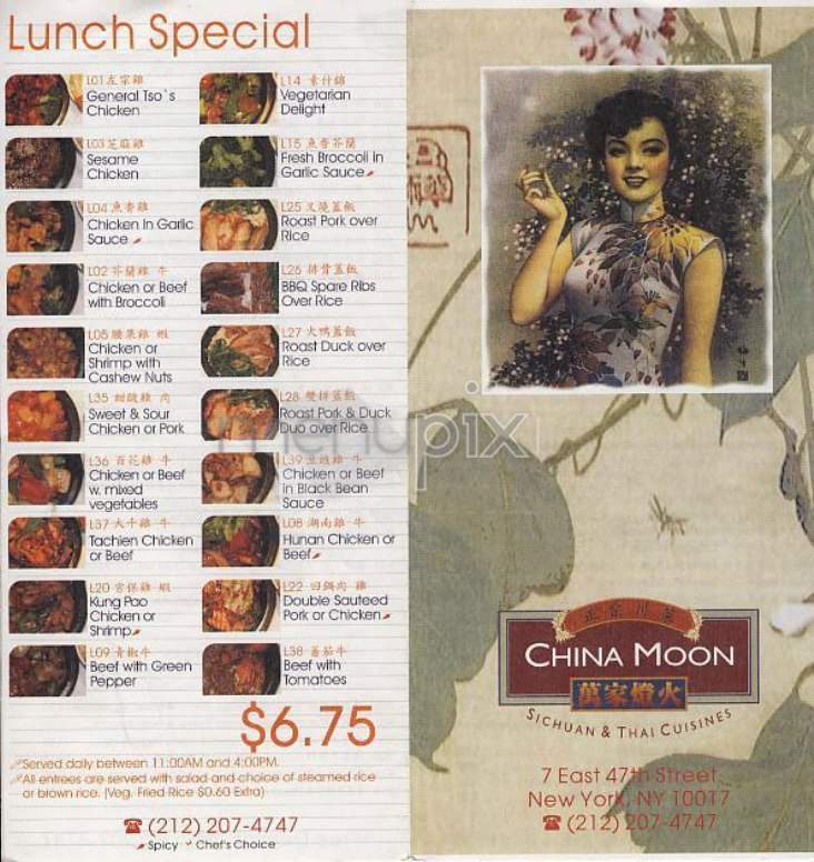 China Moon - Fogelsville, PA menu_pic