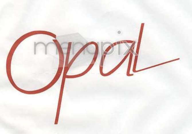 Opal - New York, NY menu_pic