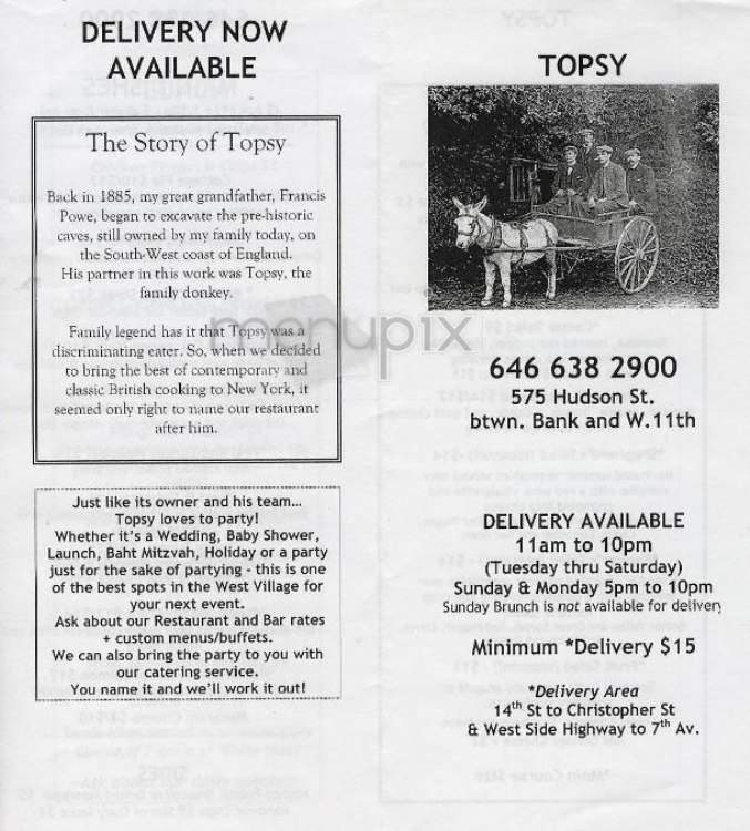 Topsy - New York, NY menu_pic