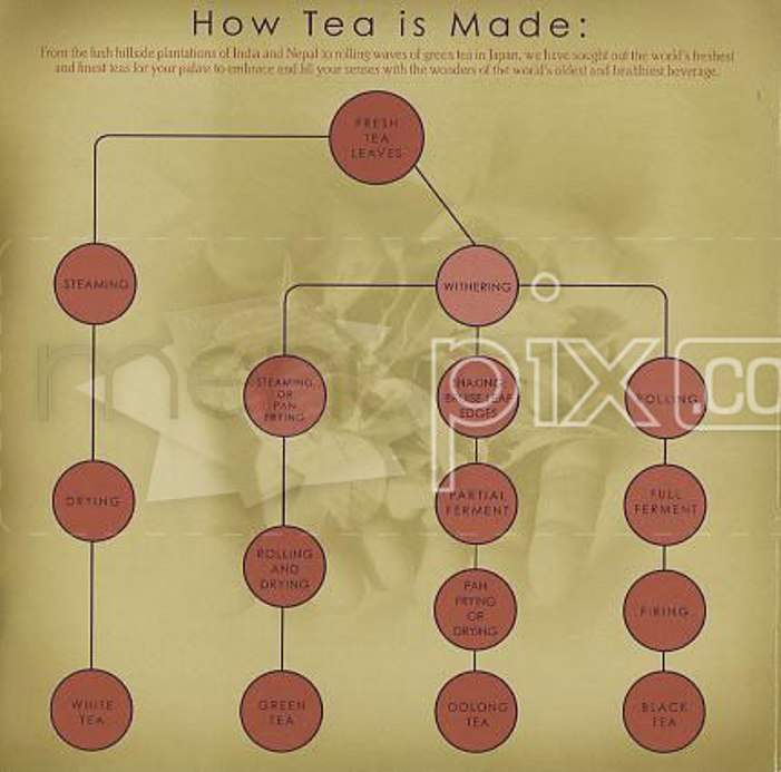 /380350795/Teavana-Menu-Roseville-CA - Roseville, CA