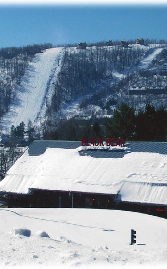 Black Bear Tavern photo