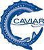 Caviar Russe photo